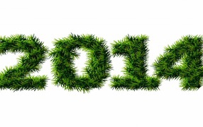 С Новым 2013-2014 годом