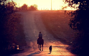 Всадник и собака на прогулке