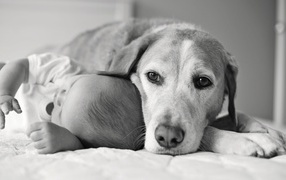 Собака спит с ребенком