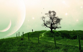 Композиция на тему природа