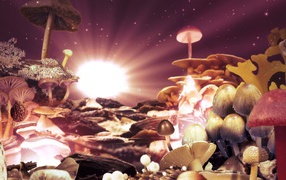 	 Fantasy of mushrooms
