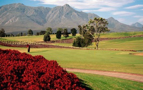 Поле для игры в Гольф