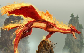 Fire dragon flies