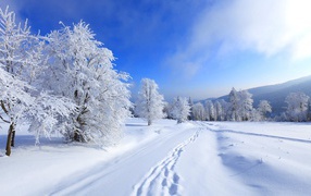 Заснеженная дорога на холмистой местности