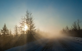 Морозное утро на дороге