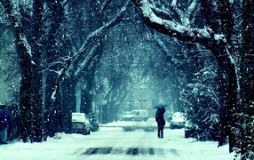Man and snow-covered road