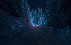 Night winter road