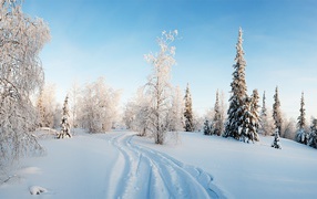 Зимний пейзаж с дорогой