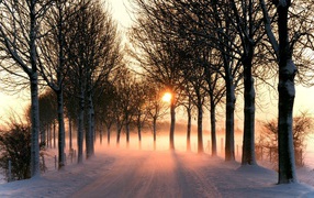 Зимняя дорога на закате дня