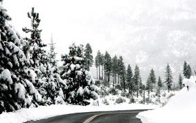 Winter road in the mountains