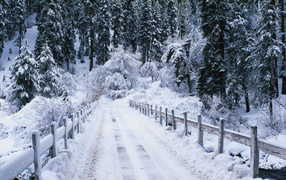 Winter road over the river