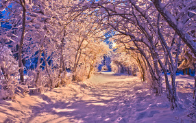 Winter road under the light of lanterns