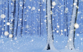 	 In the winter forest, snow