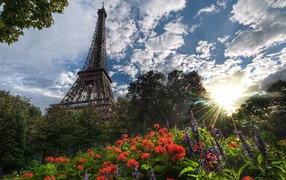 Башня и цветы в Париже