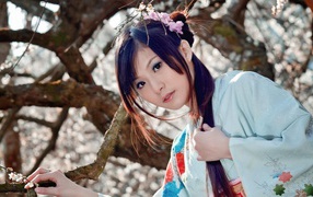 Japanese girl in kimono