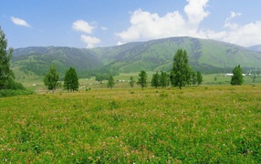 Российский пейзаж с холмами
