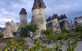 Волшебные дымоходы Турции с черными вершинами