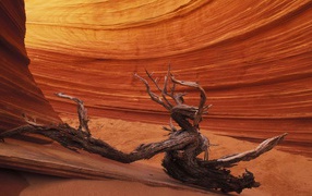 Причудливые формы каньона Антилопа