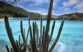 Национальный парк Вирджинии