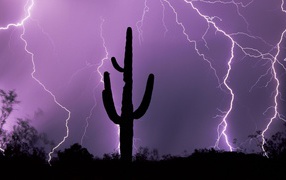 Гроза в Аризоне