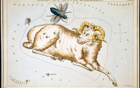 Aries on the star chart