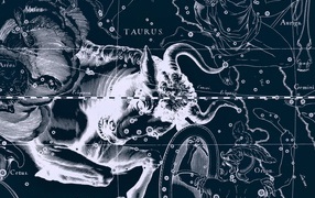 Карта звездного неба, телец