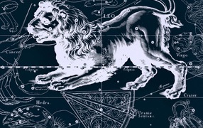 Star chart, a lion