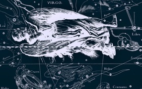 Карта звездного неба, дева