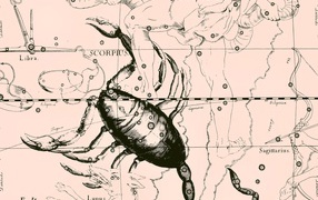 Карта звездного неба, скорпион, розовый цвет