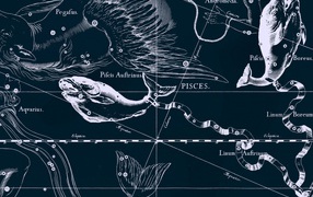 Карта звездного неба, рыбы