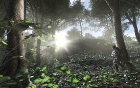 Battlefield 4 soldier in the forest