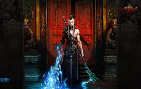 Diablo III: the mage
