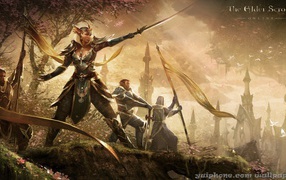 Elder Scrolls Online: Elfs going to battle