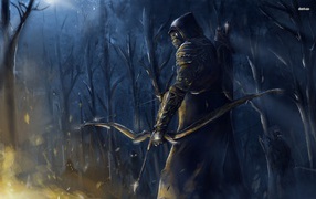 lder Scrolls Online: лучник