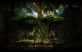 Elder Scrolls Online: the rainforest