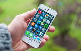 Iphone 5S белый на фоне листвы