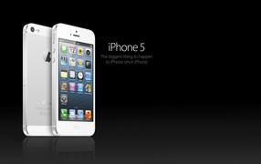 Iphone 5S белый в черном