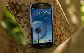 Samsung Galaxy S3 on the tree