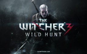 The Witcher 3: Wild Hunt: Wild Hunt
