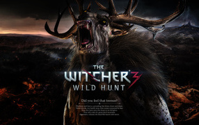 The Witcher 3: Wild Hunt: лучшие обои HD