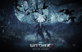 The Witcher 3: Wild Hunt: new game for PS4