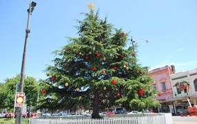 Красивая Новогодняя елка в жаркой стране