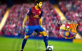 The best football player of Barcelona Francesc Fabregas