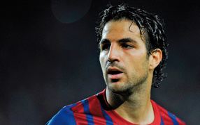 Лучший игрок Барселоны Франсеск Фабрегас лицо крупным планом