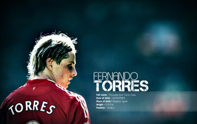 The football player of Chelsea Fernando Torres
