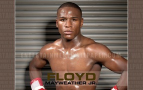  Famous boxer Floyd Mayweather Jr