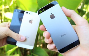 Iphone 5S задние крышки на фоне зелени