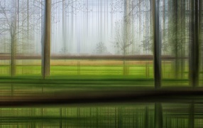 Размытый лес