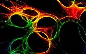 Красочные объемные фракталы