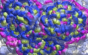 Необычные цветные облака